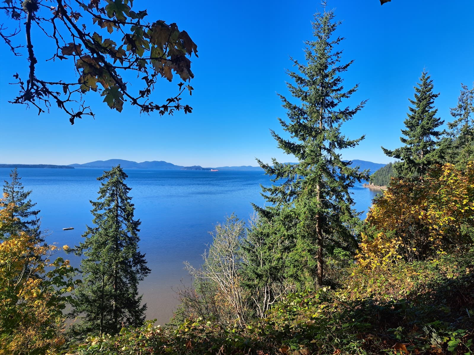 Chuckanut Drive - Image 1