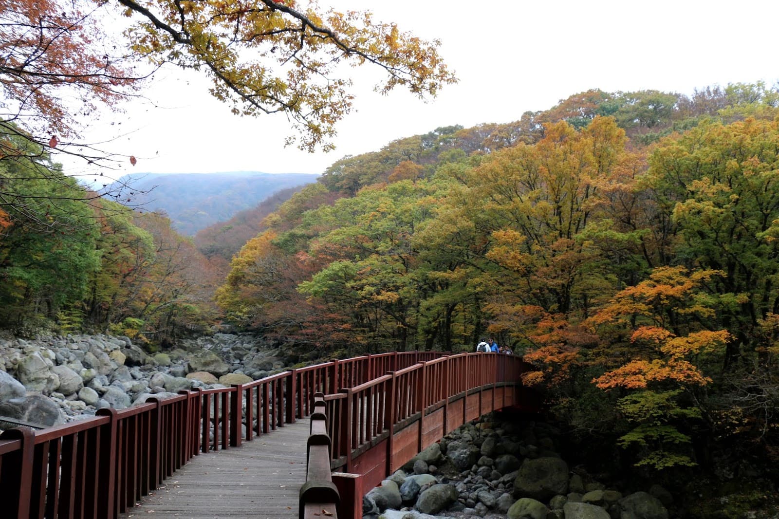 Eorimok Trail - Image 1