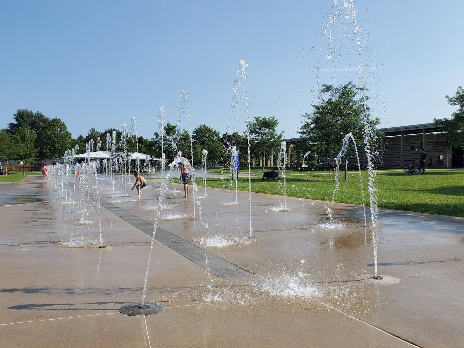 Walking & Dog Trails