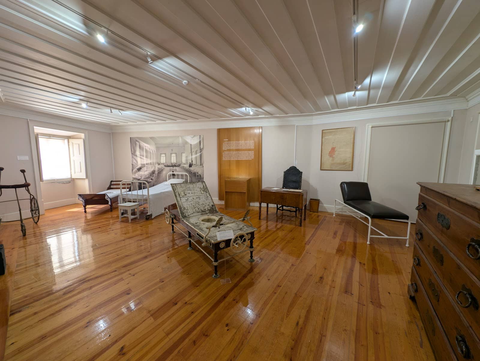 Artistic and Scientific Collections