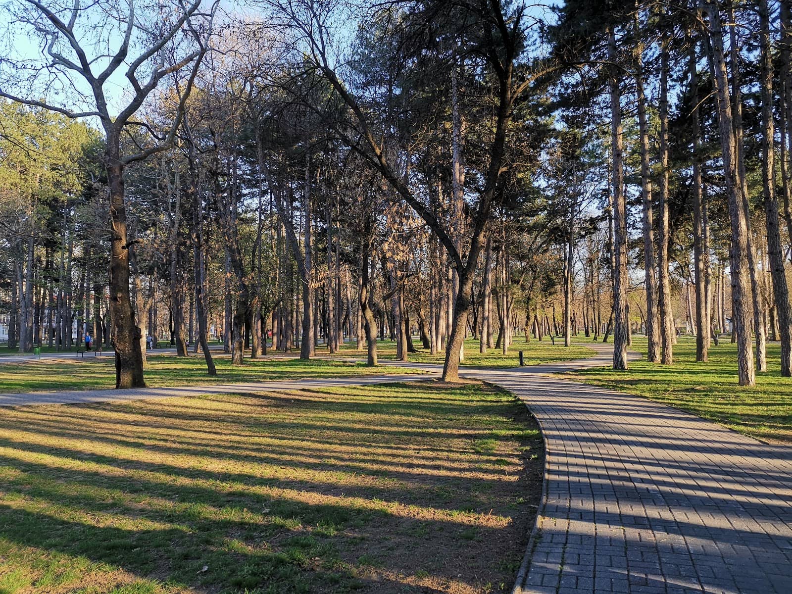 Summer Evening Gatherings