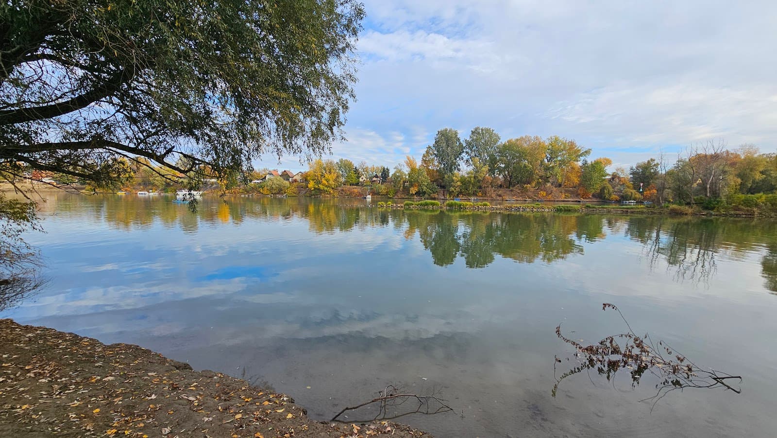 Tisza–Maros Confluence - Image 1