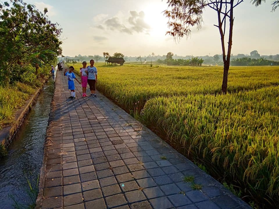 Subak Sembung Ecotourism - Image 1