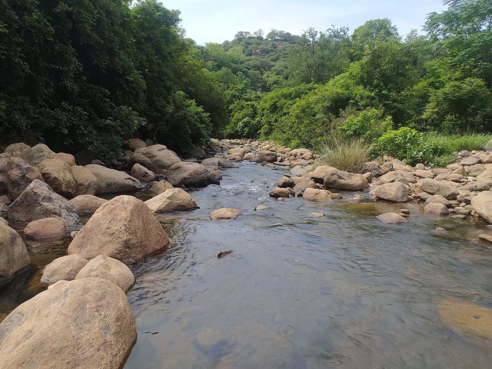 Puliancholai Falls - Image 1