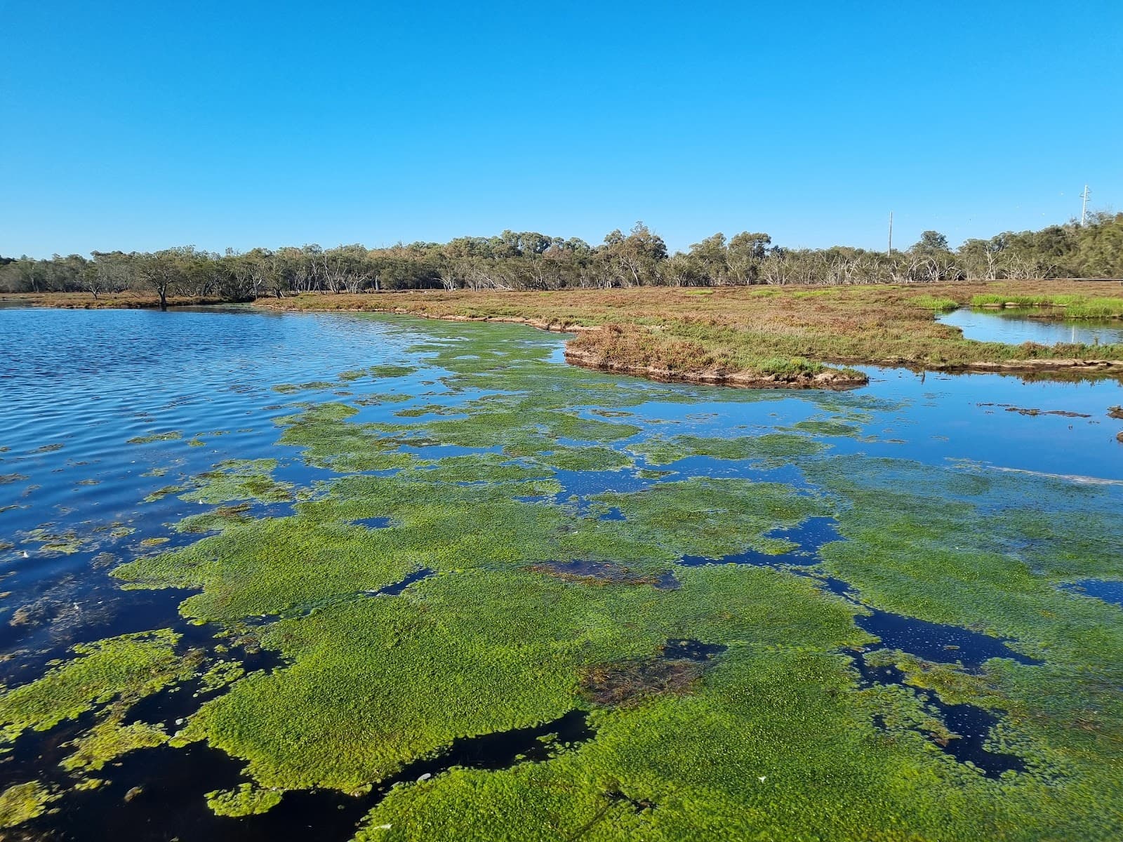 Lake Goegrup Nature Reserve - Image 1