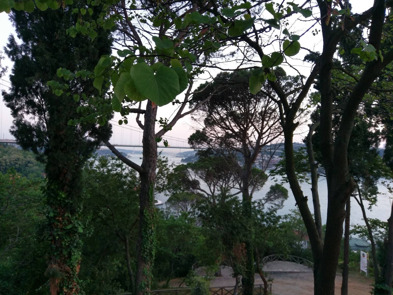 Vertical photo