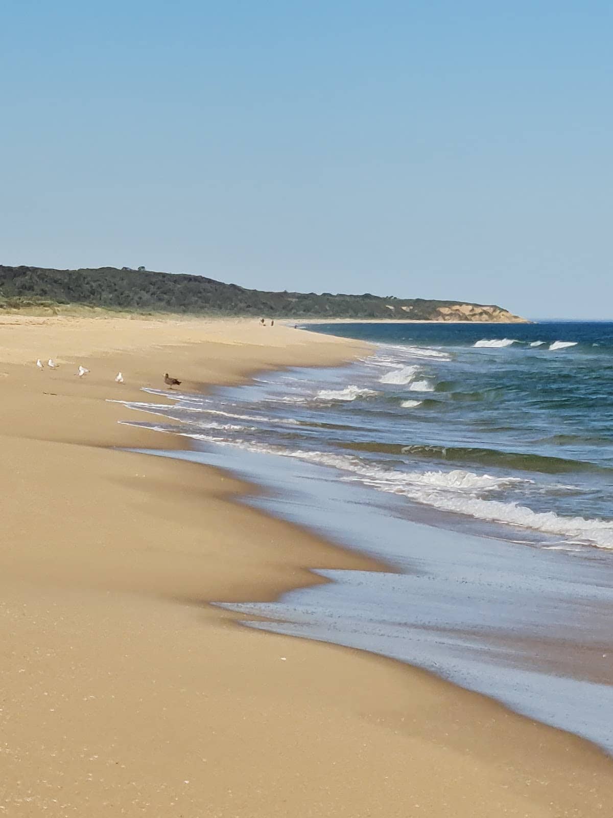 Challenging Dog Legs & Elevated Tees