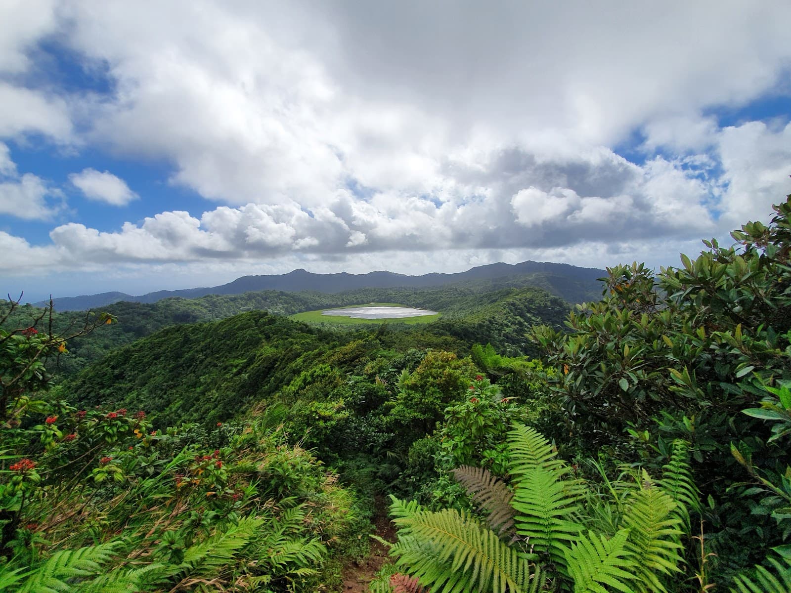 Grand Etang National Park - Image 1