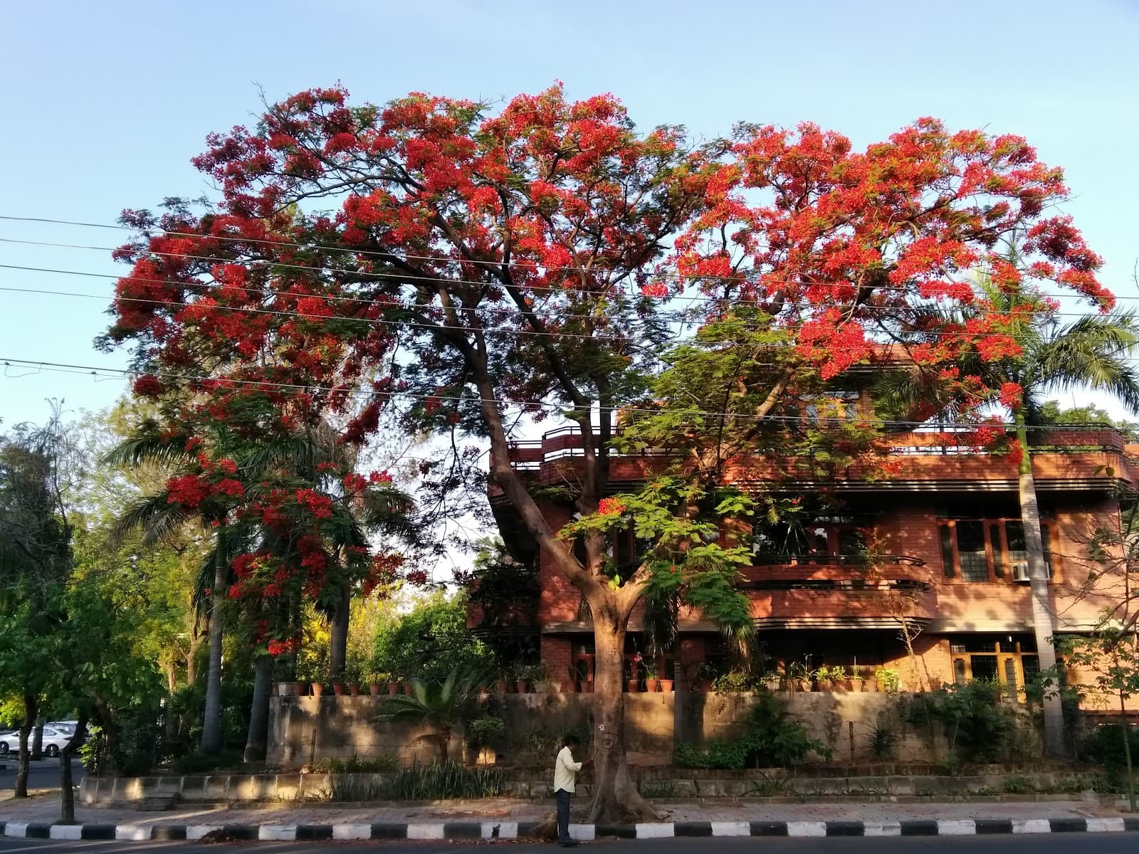 Palika Bazaar Sector 19 - Image 1