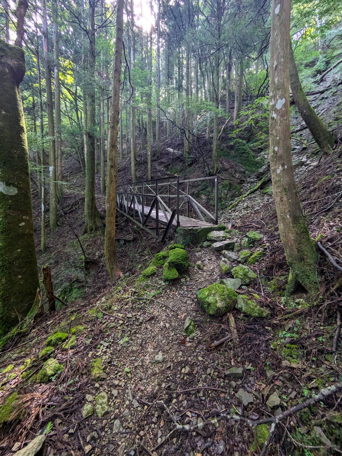 Vertical photo