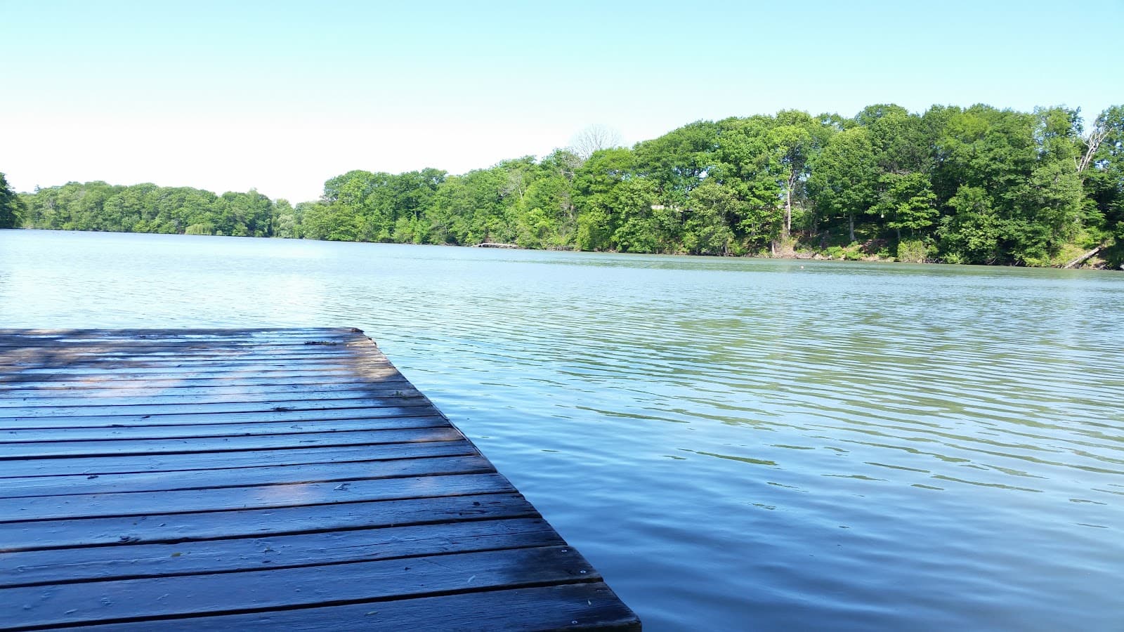 Henley Island - Image 1