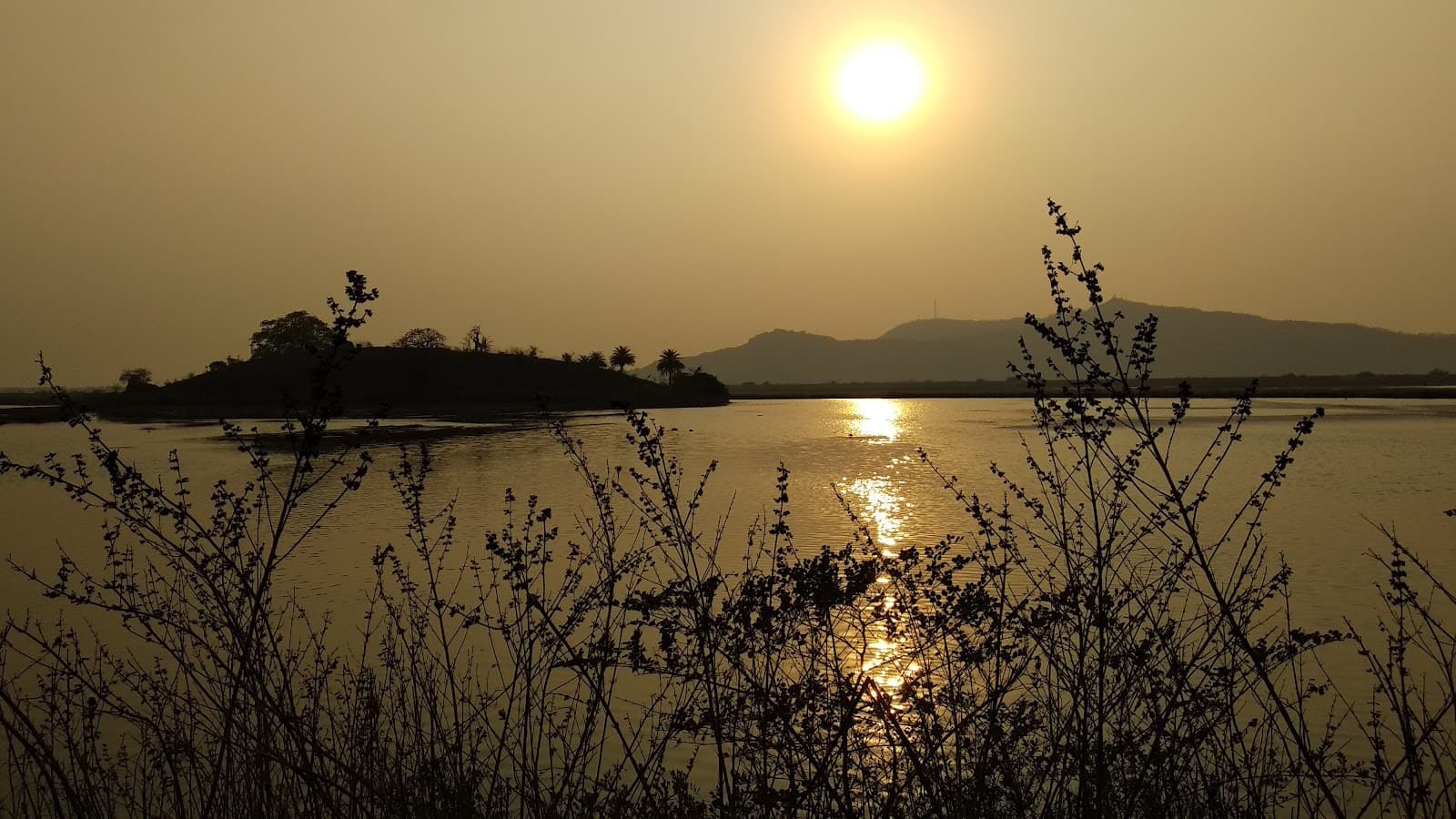 Panje Wetlands Uran - Image 1