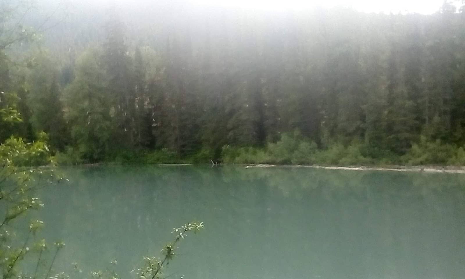 Vertical photo