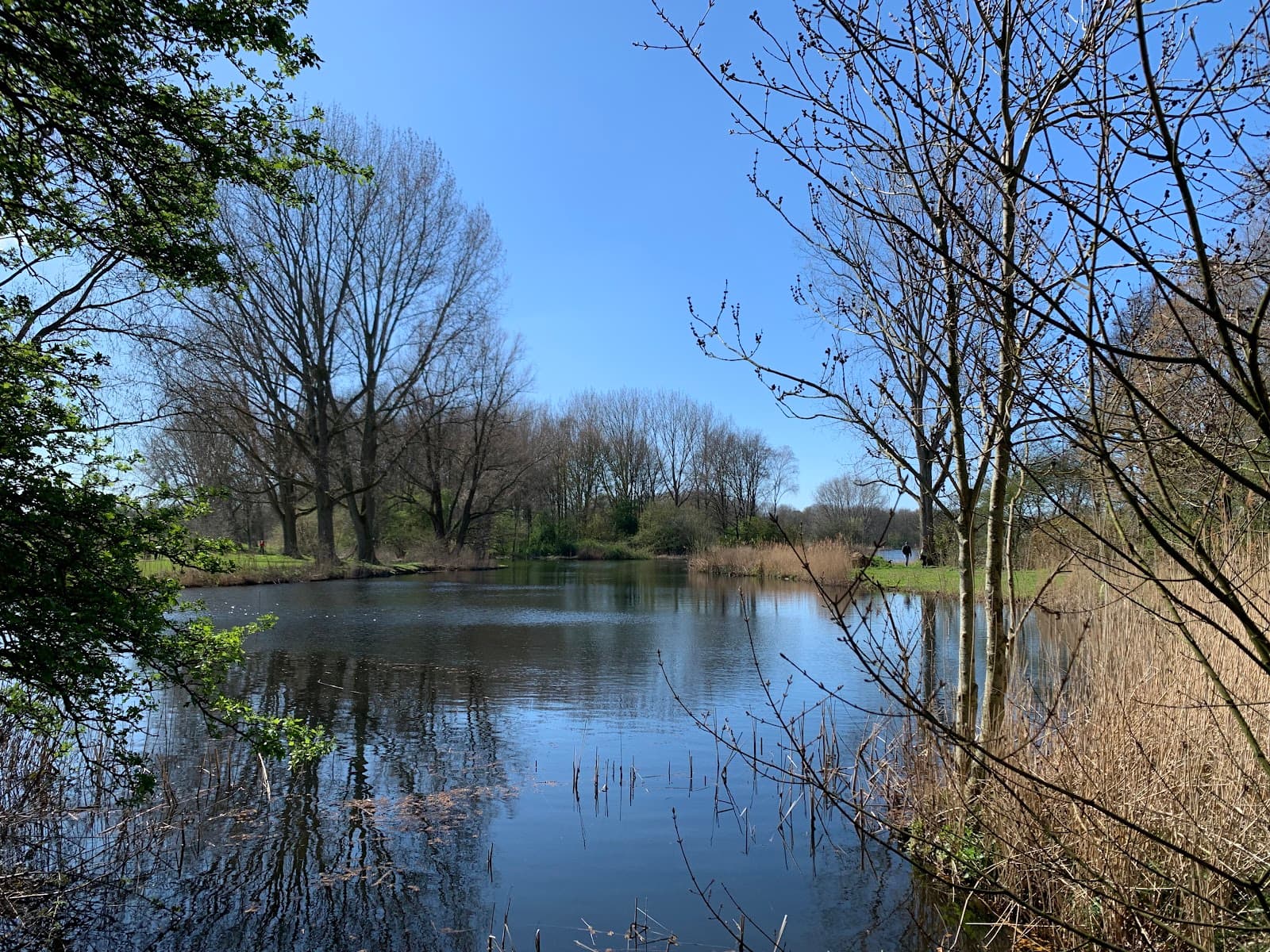 Delftse Hout Park - Image 1