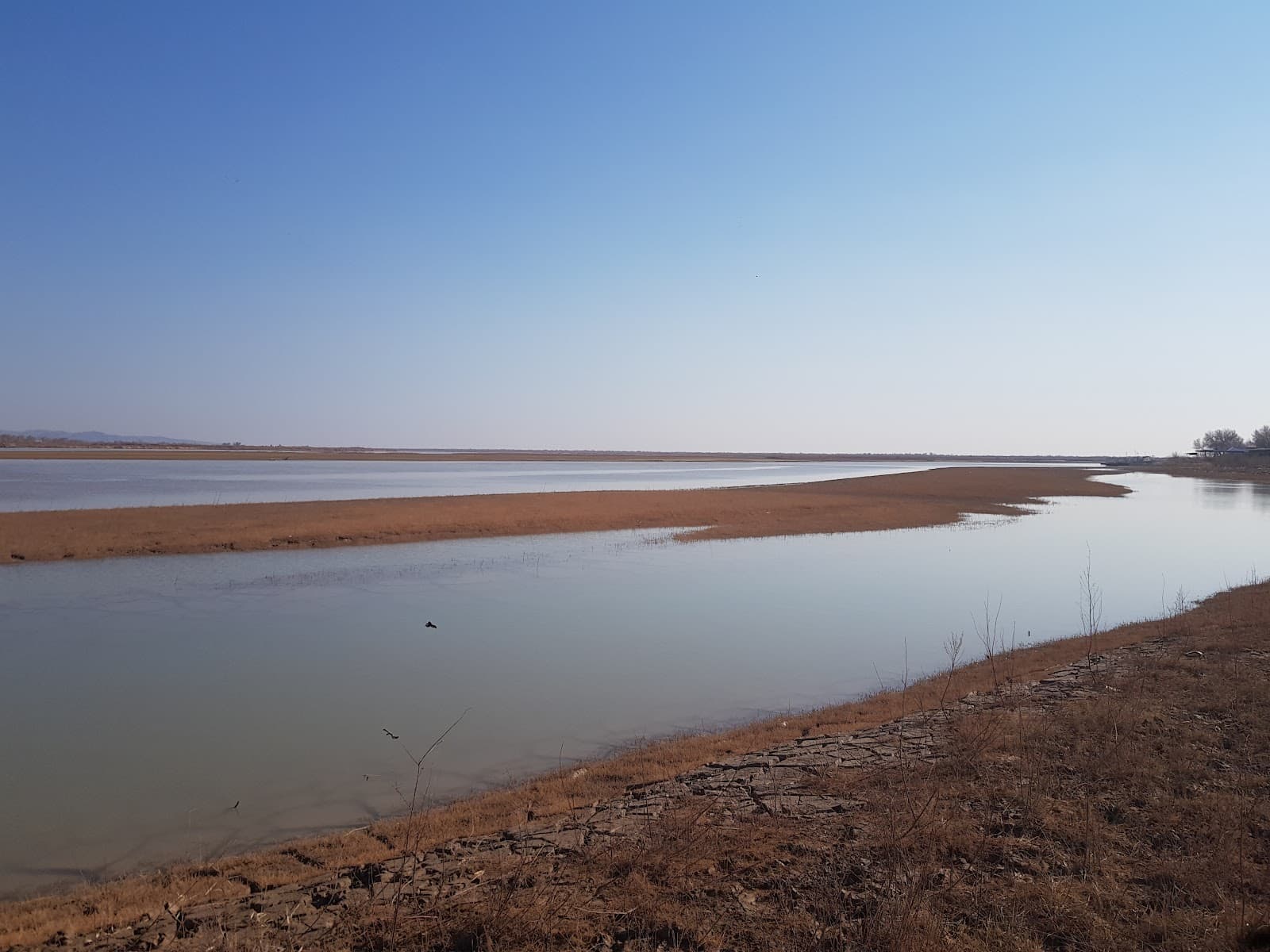 Amu Darya River - Image 1