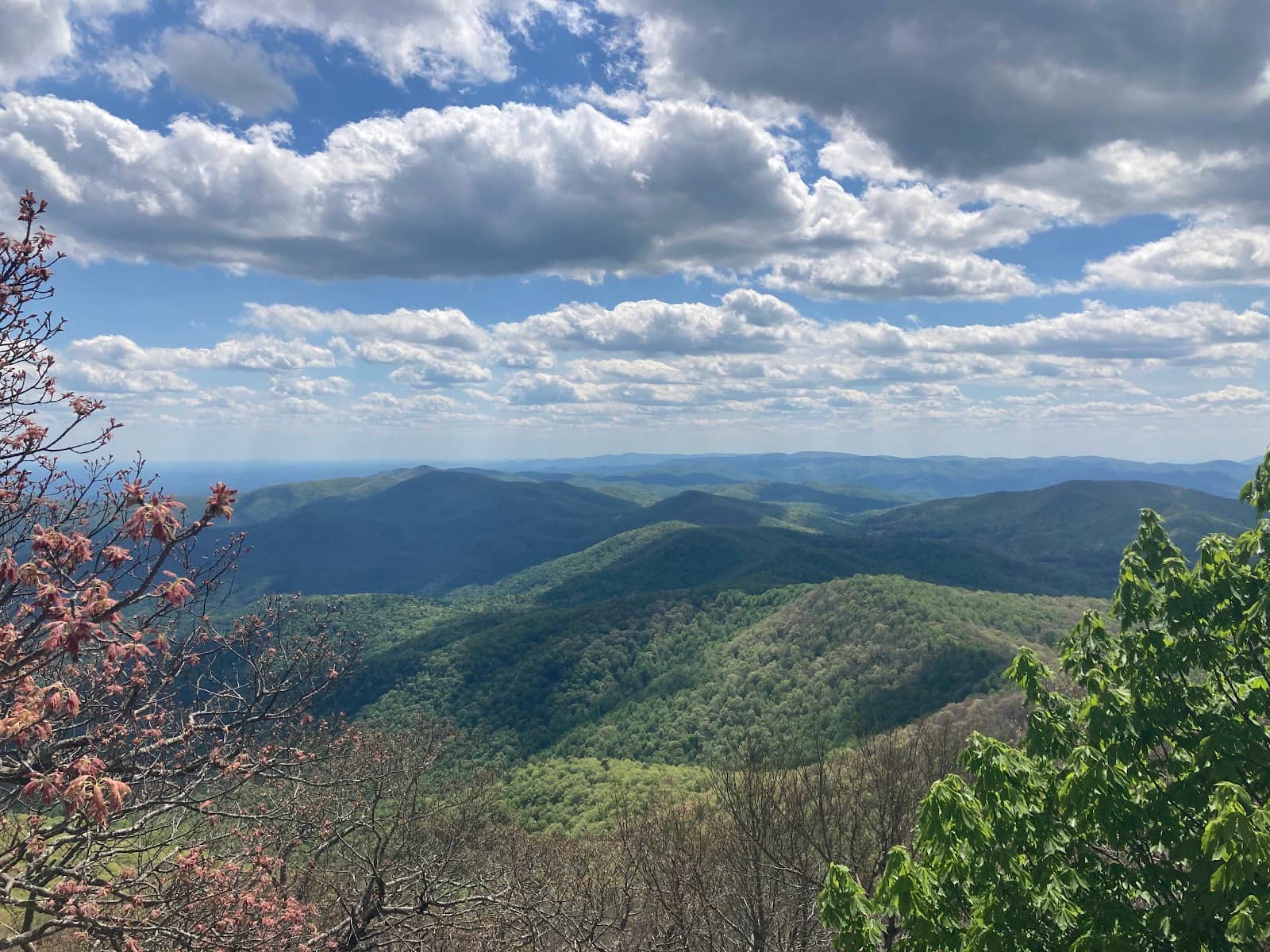 Blood Mountain Shelter