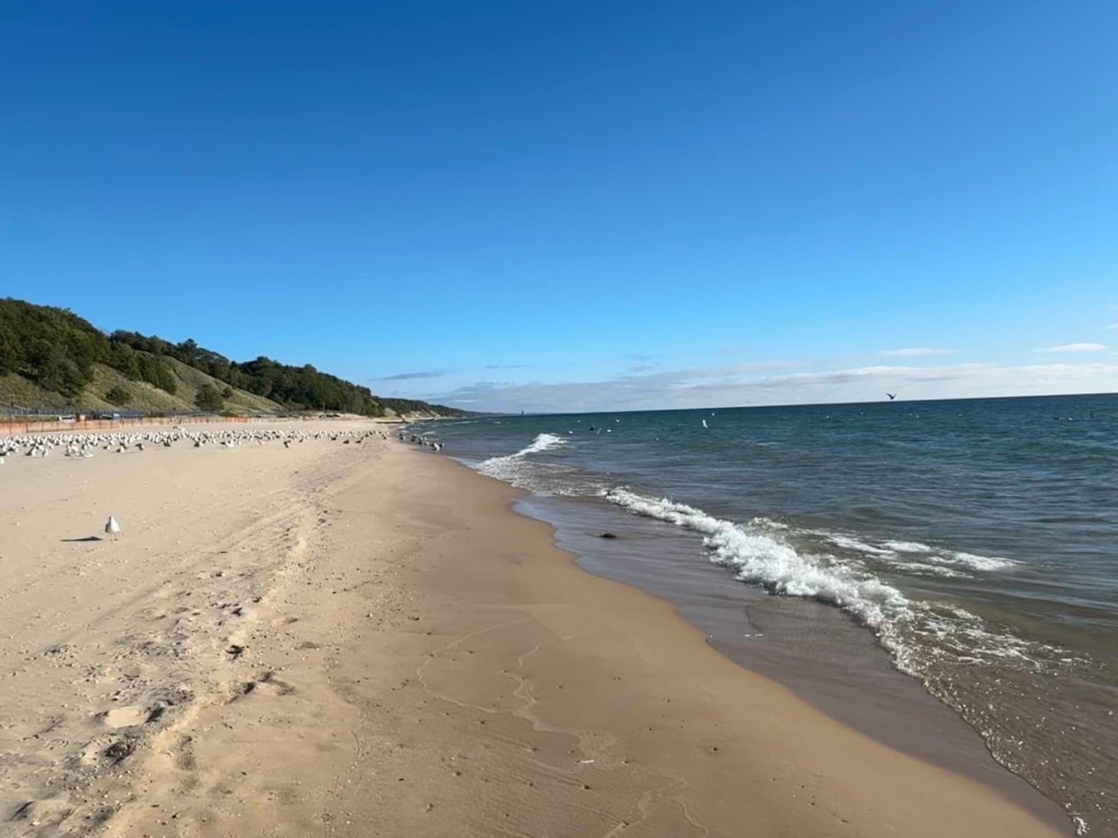 Beachwood Park - Image 1