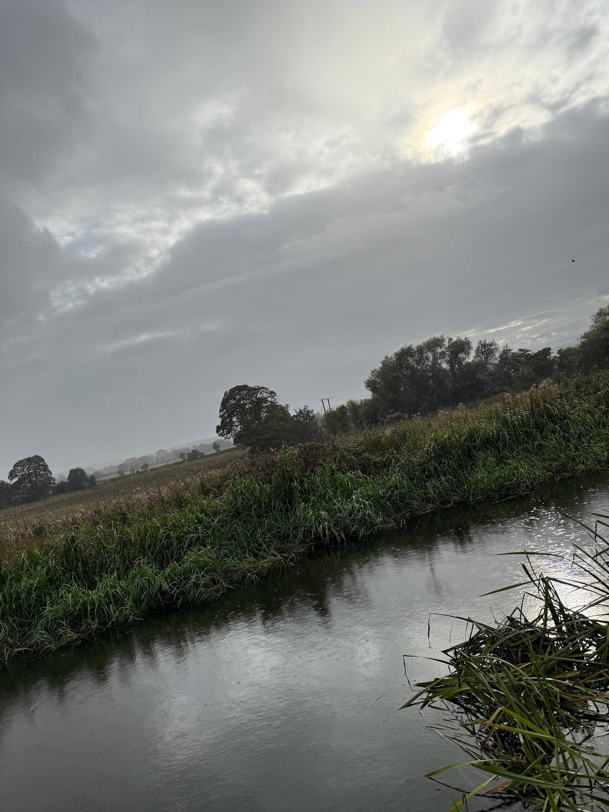Scenic Riverside Walks