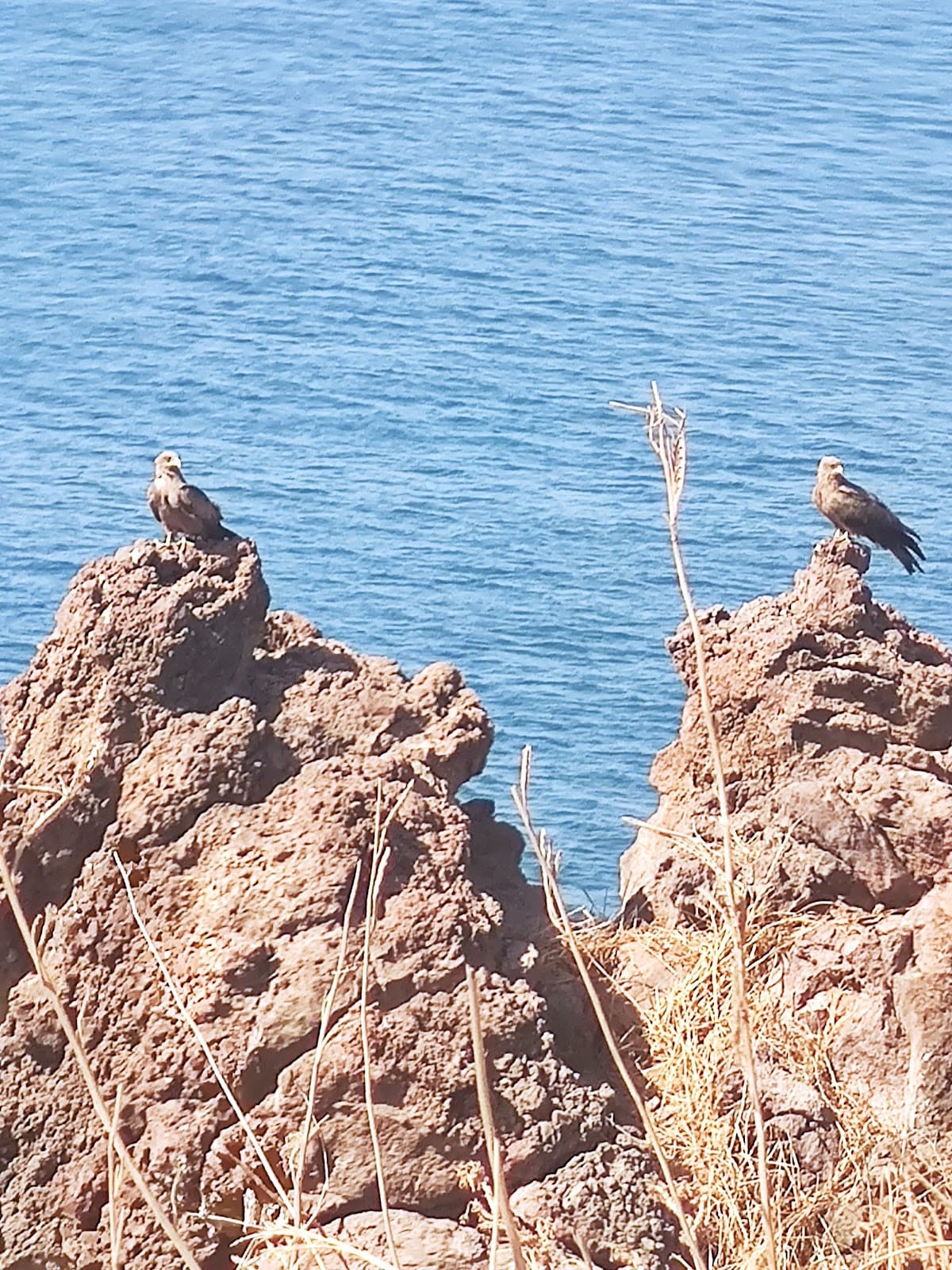 Ouakam Dakar - Image 1