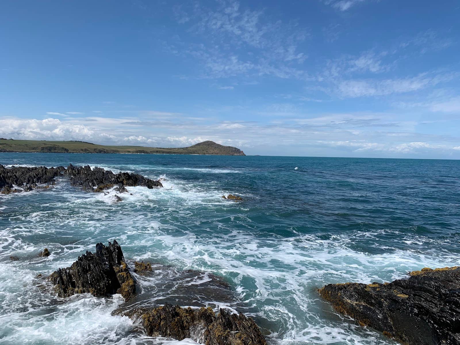 Wheelchair-Friendly Viewing Deck