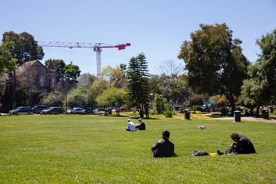 People's Park Berkeley - Image 1