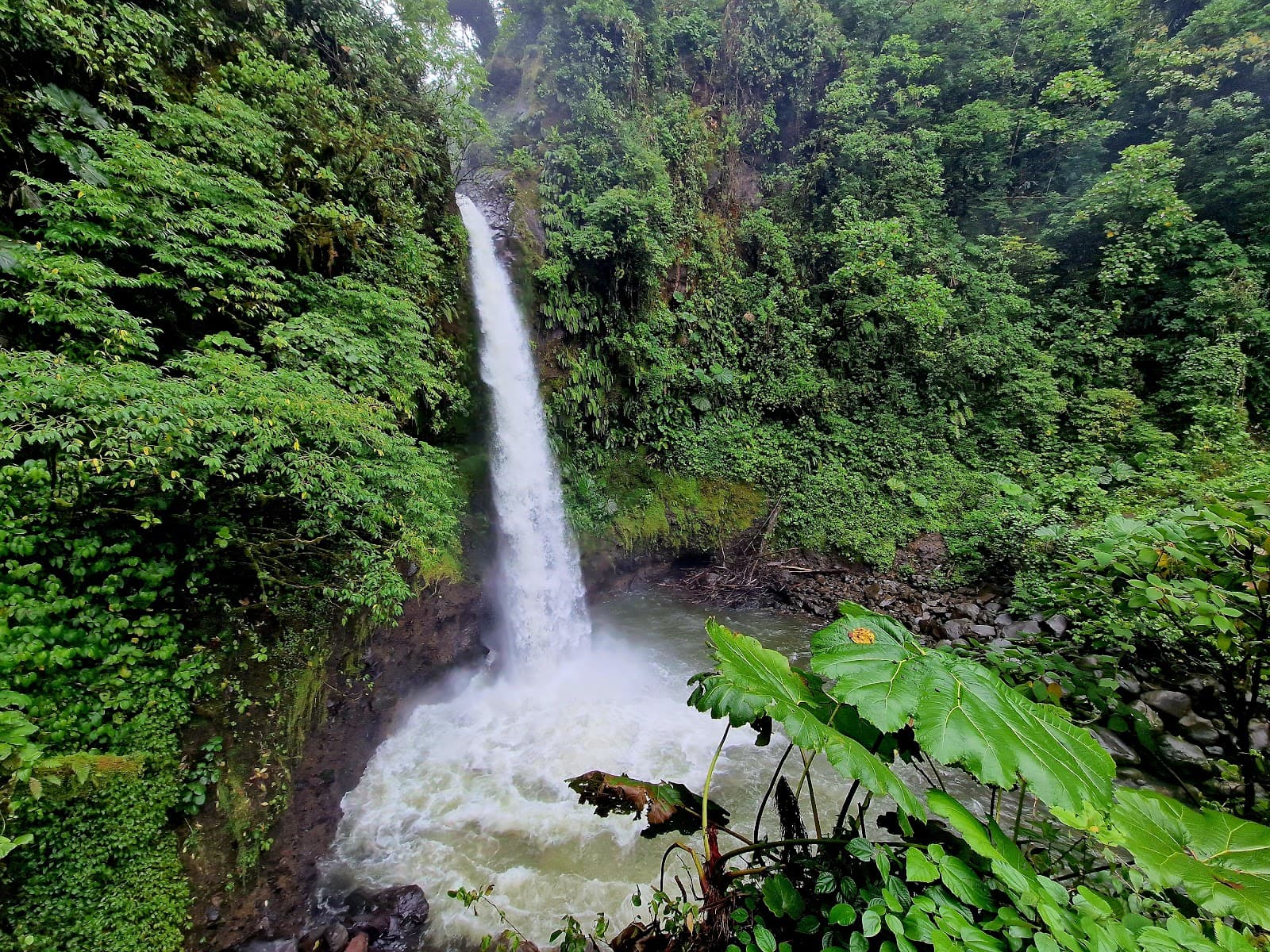 La Paz Waterfall Gardens - Image 1
