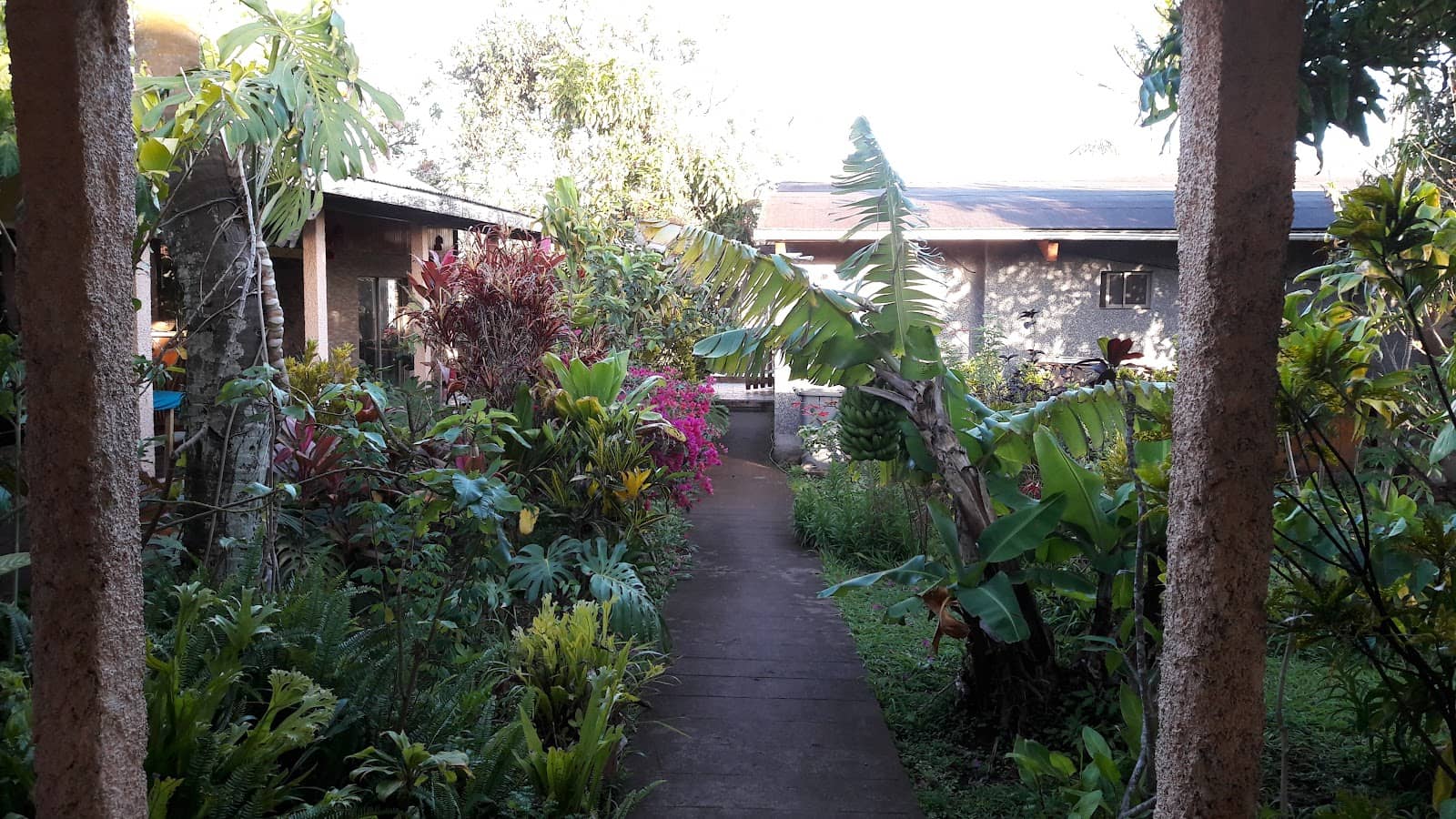 Tangata Manu (Birdman) Lore