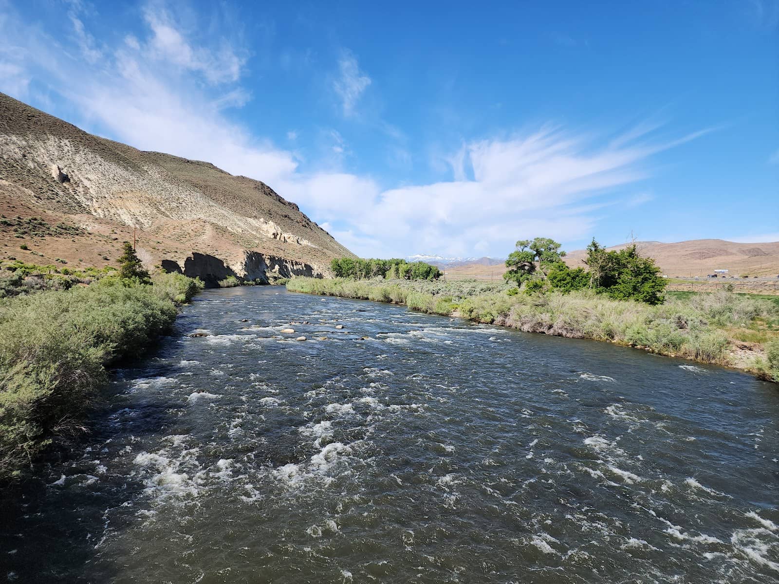 Vertical photo