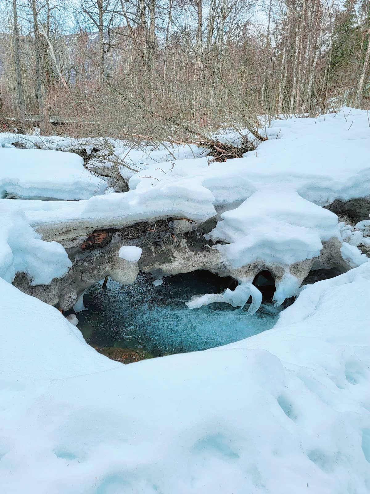 South Fork Eagle River Trail