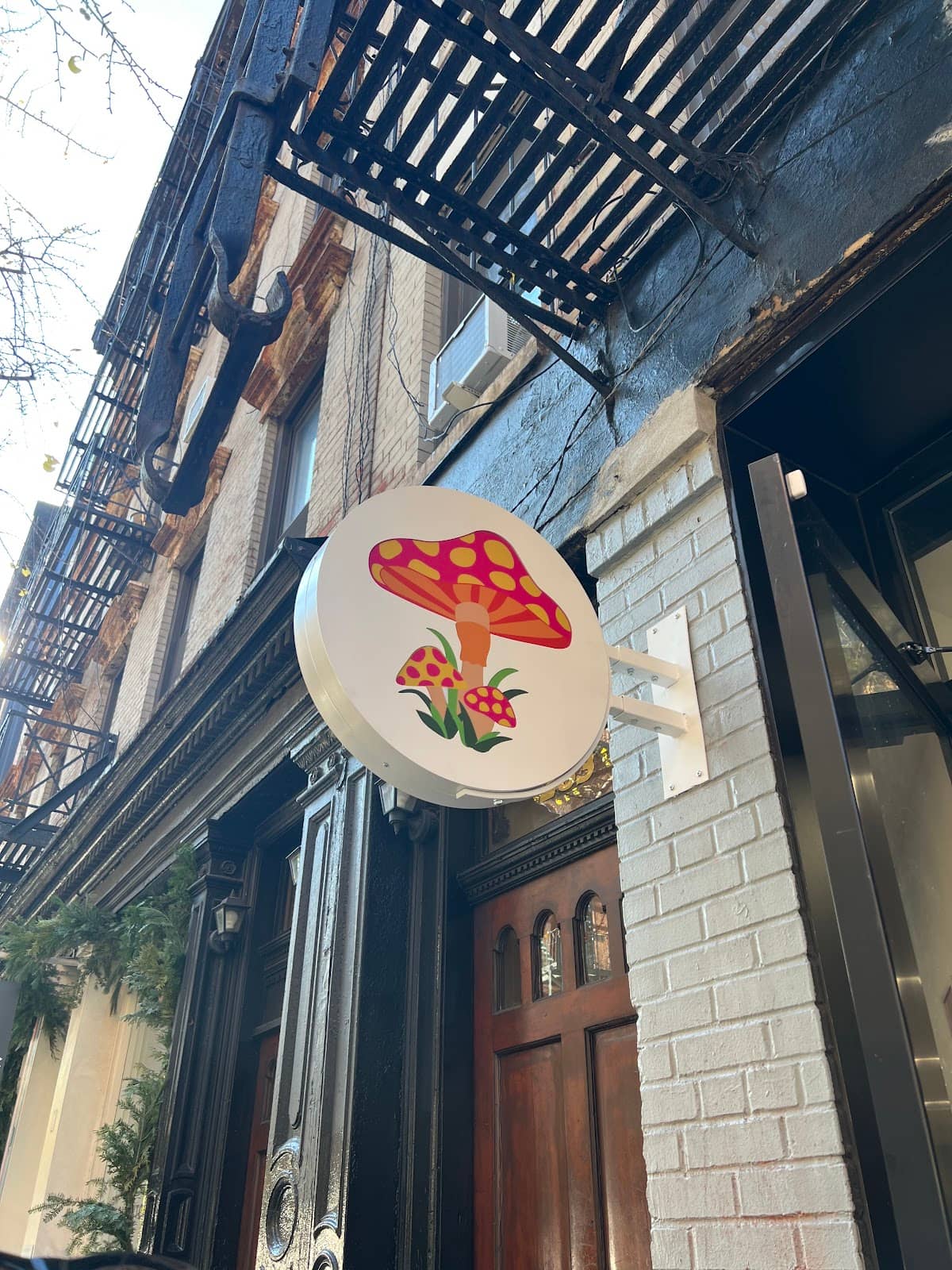 Unique Finds & Curation