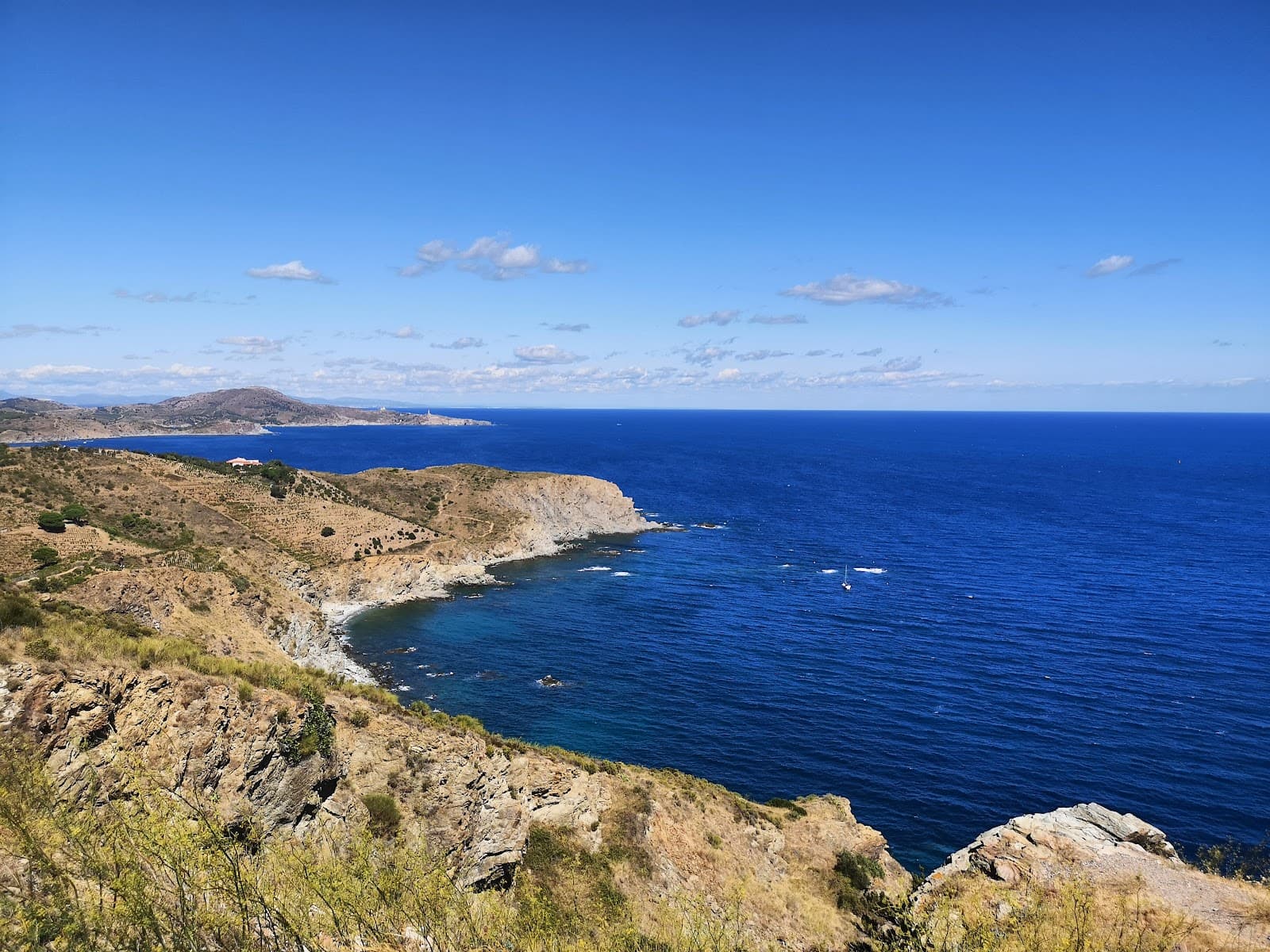 Réserve Marine de Cerbère-Banyuls - Image 1