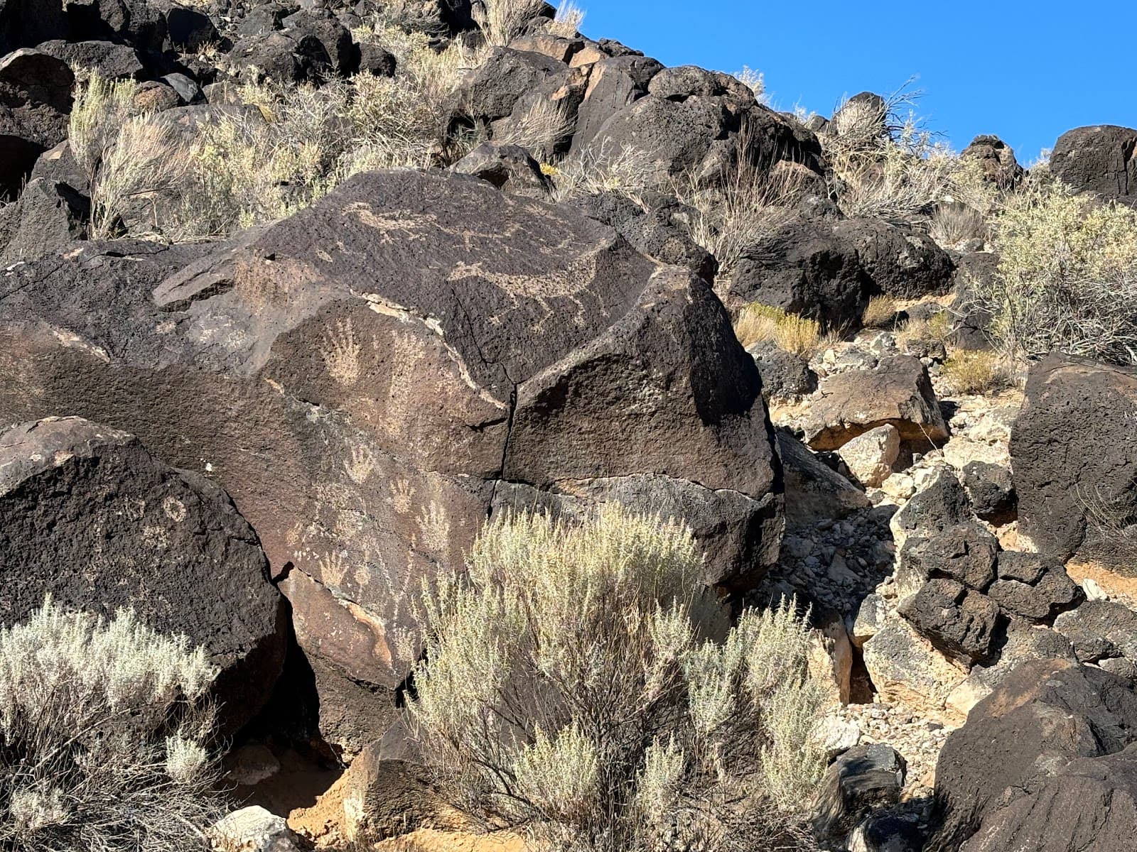 Piedras Marcadas Canyon Petroglyphs - Image 1