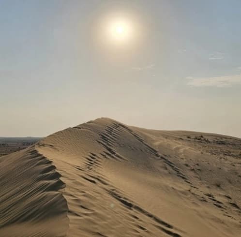 Al Qudra Cycling Track - Image 1