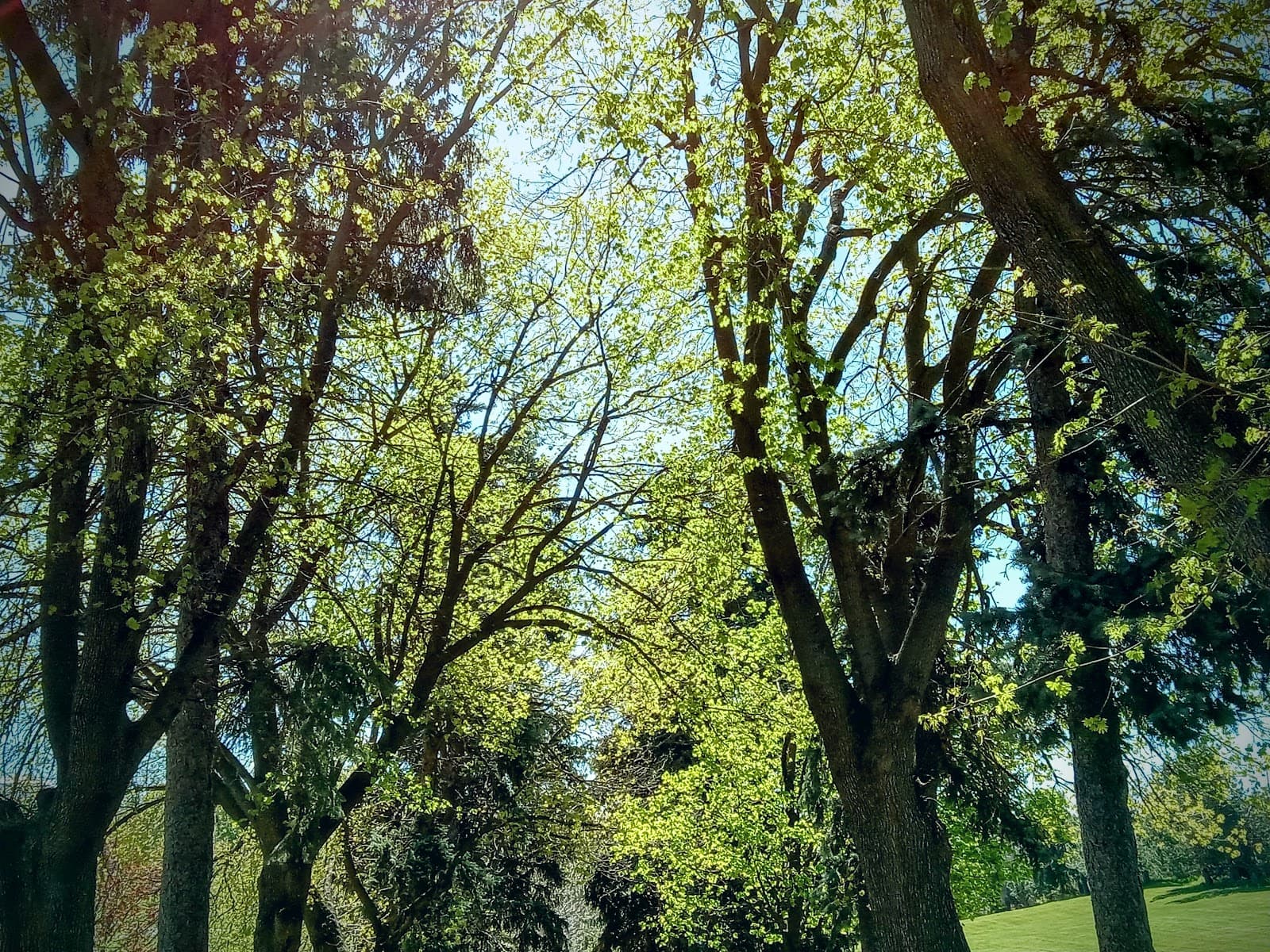 Olney Cemetery - Image 1