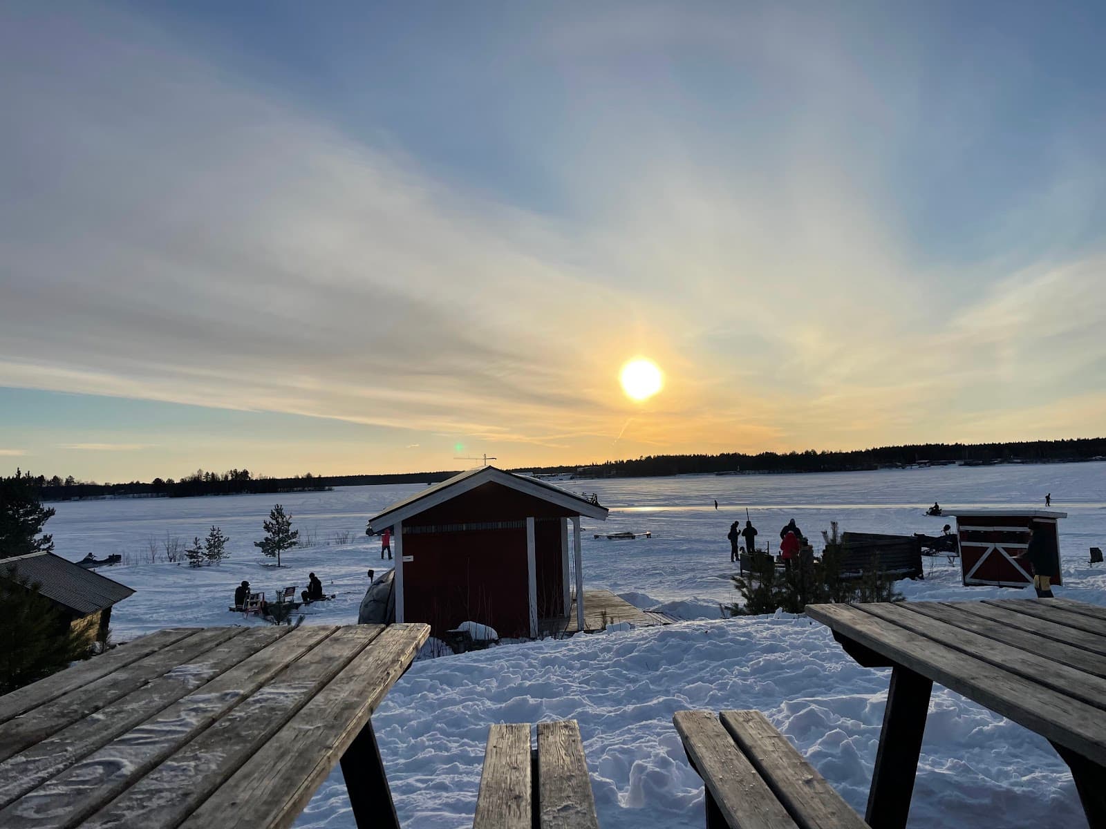 Gråsjälören Island - Image 1