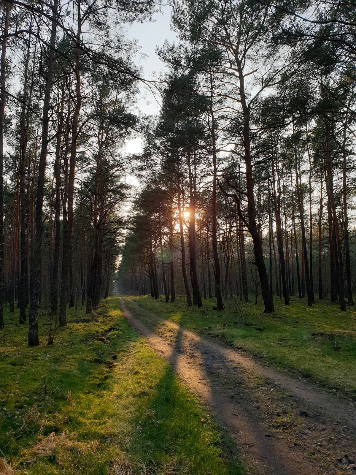 Myślęcinek-Fordon Cycling Route