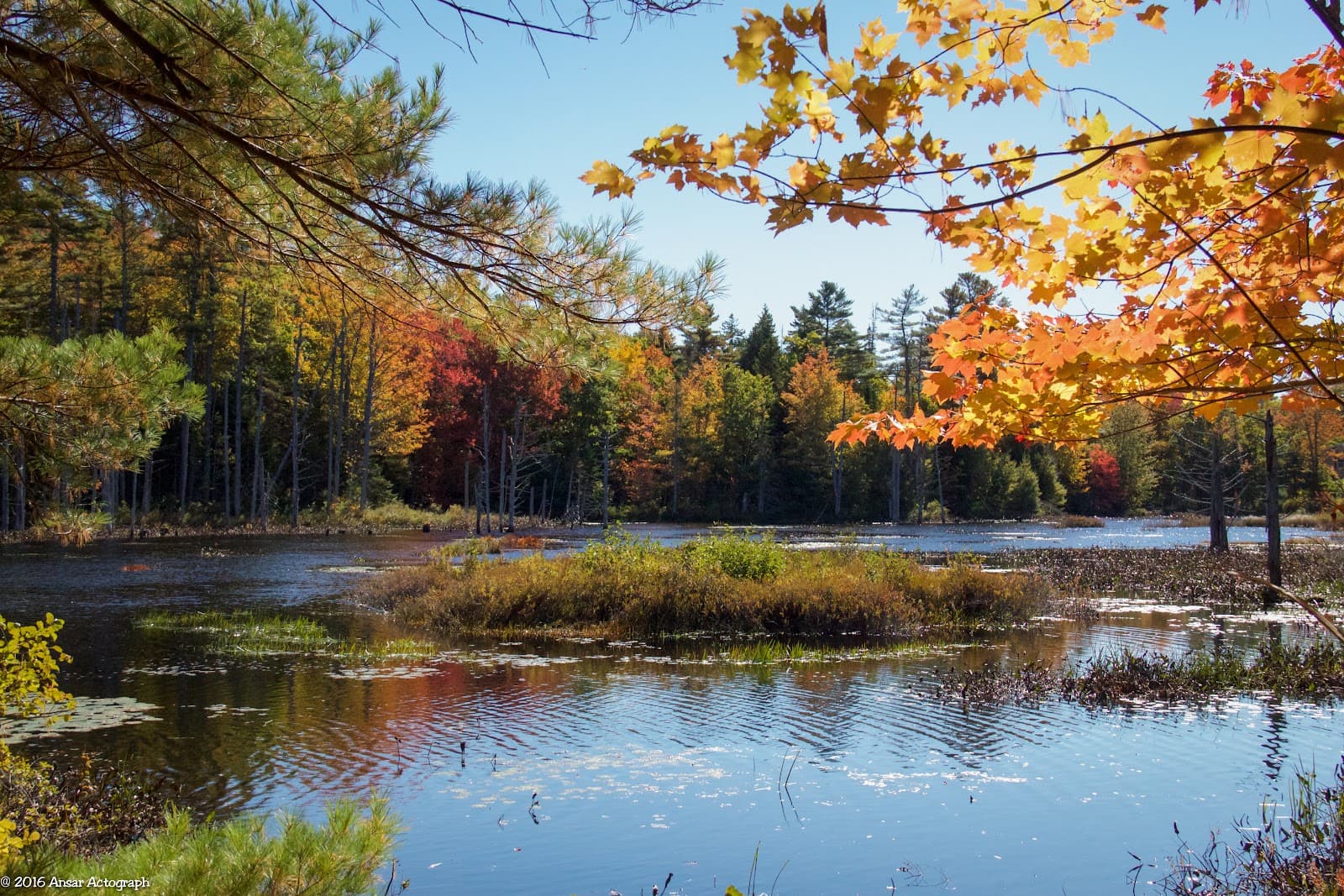 Lobster Cove Meadow Preserve - Image 1