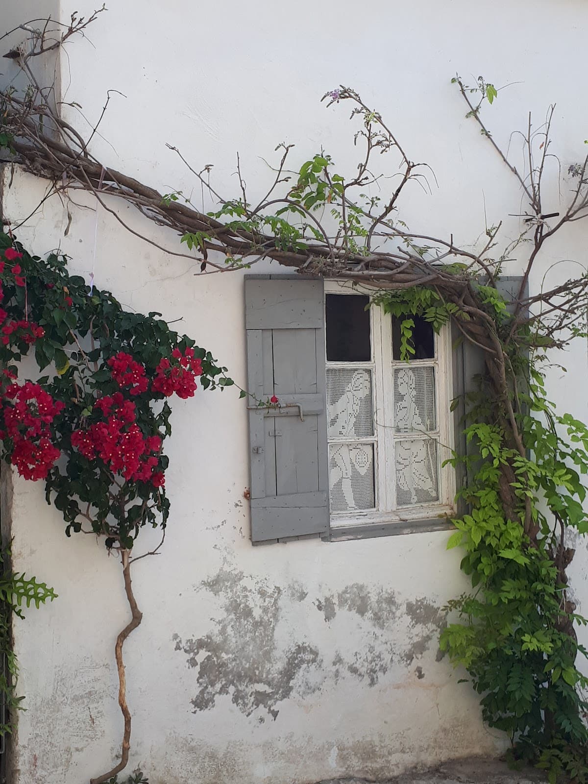 Volimes village - Image 1