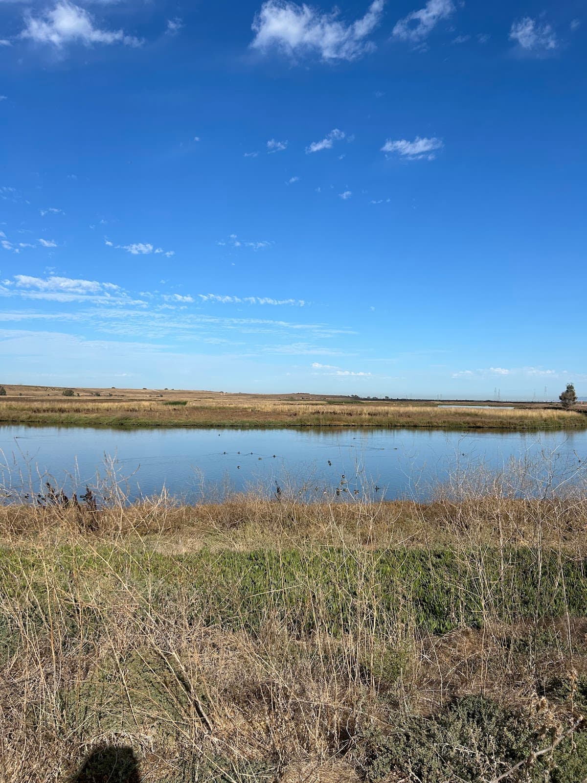 Charleston Slough - Image 1