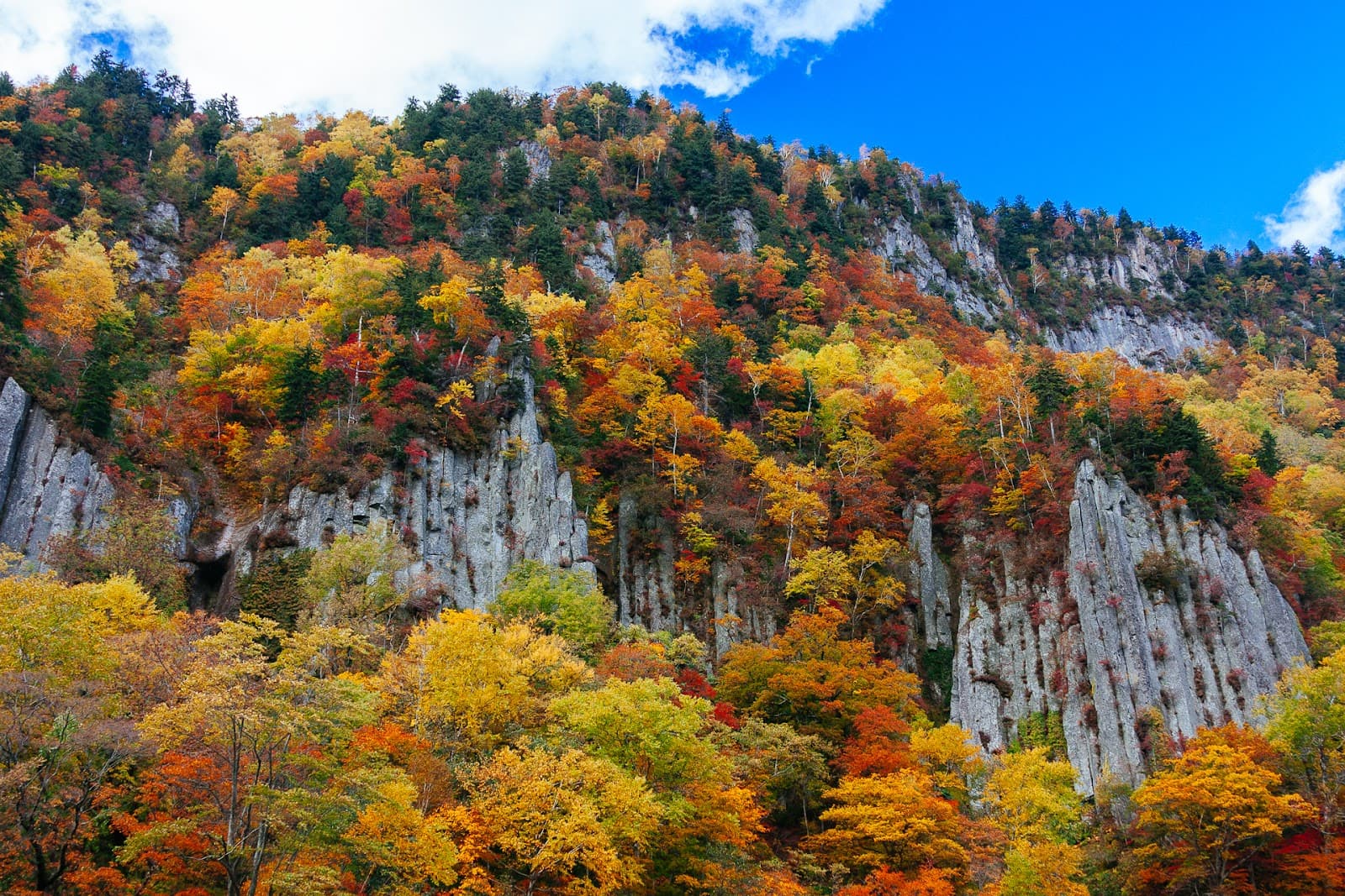 Tenninkyo Gorge - Image 1