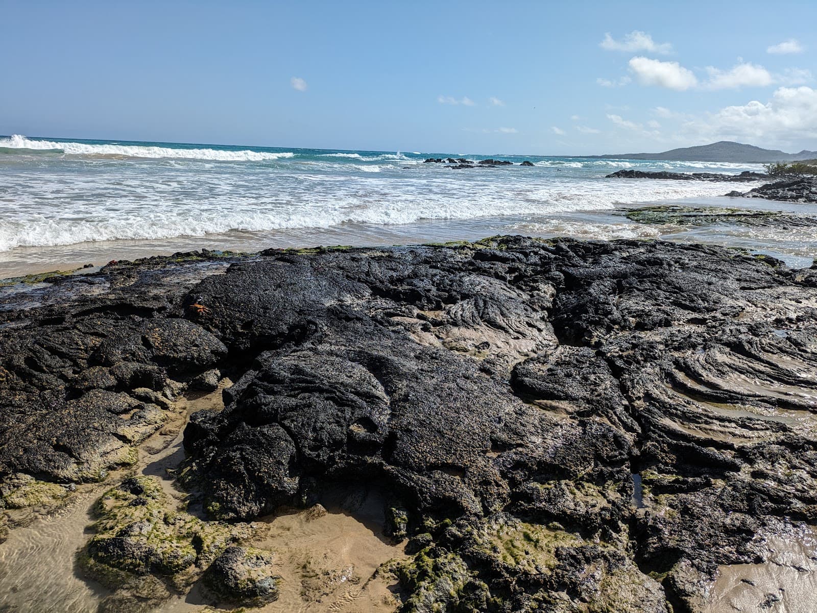 Playa Puerto Villamil Isabela Island Galápagos - Image 1