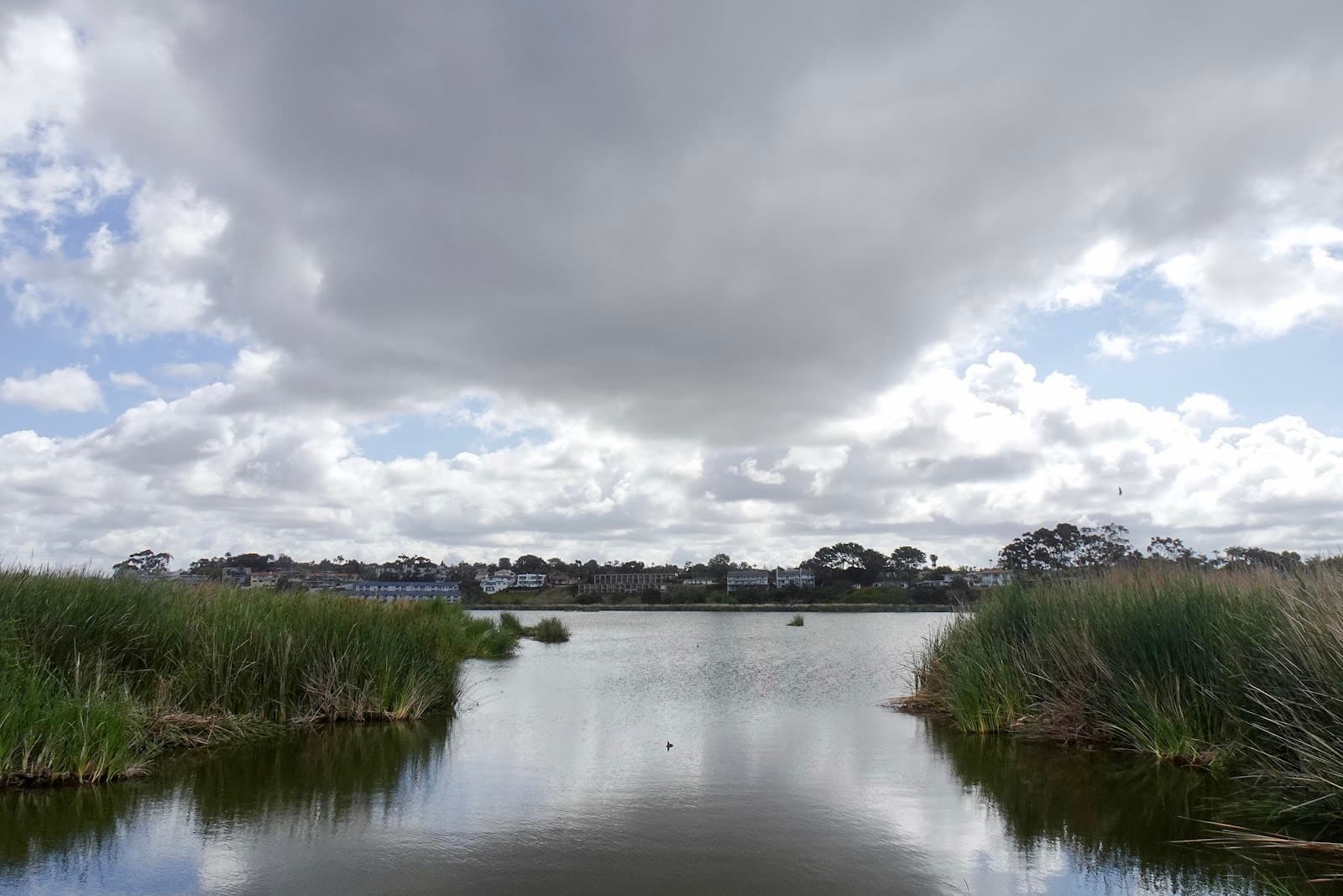 Buena Vista Lagoon - Image 1