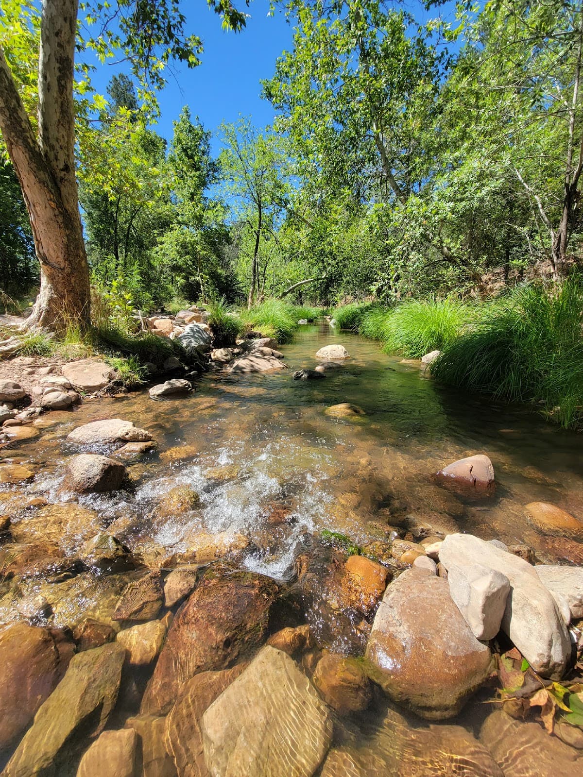 East Verde River – Third Crossing - Image 1