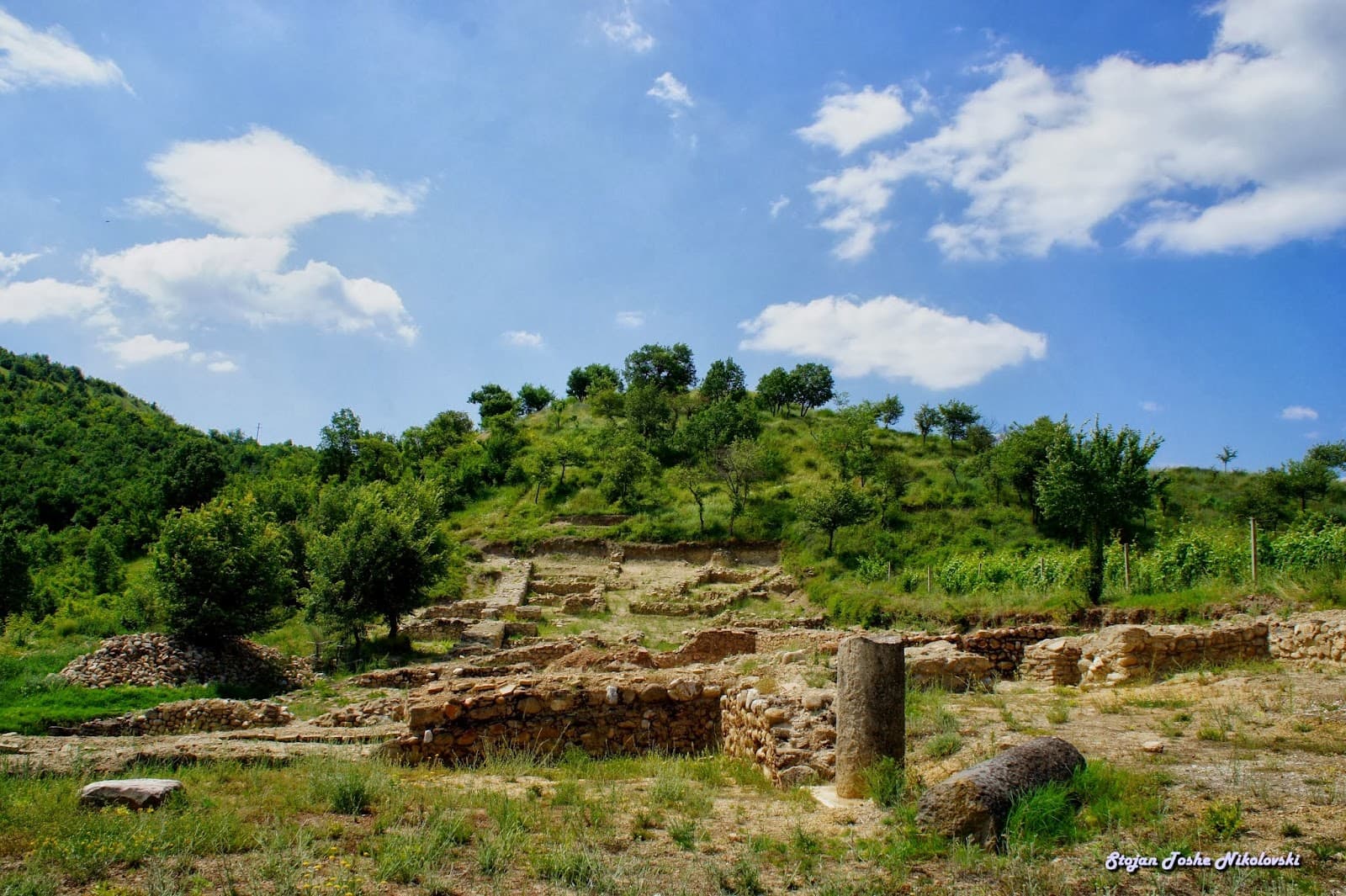 Tauresium Taor - Image 1