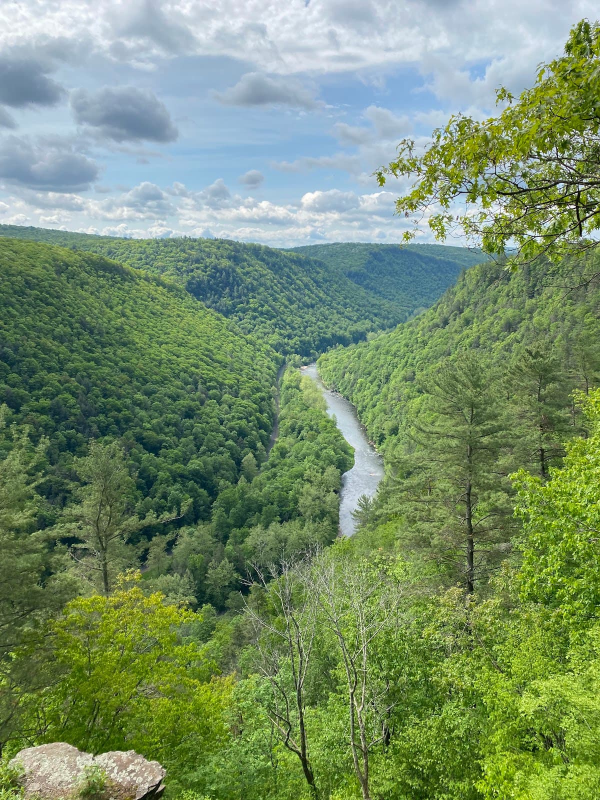 Pine Creek Gorge (PA Grand Canyon) - Image 1