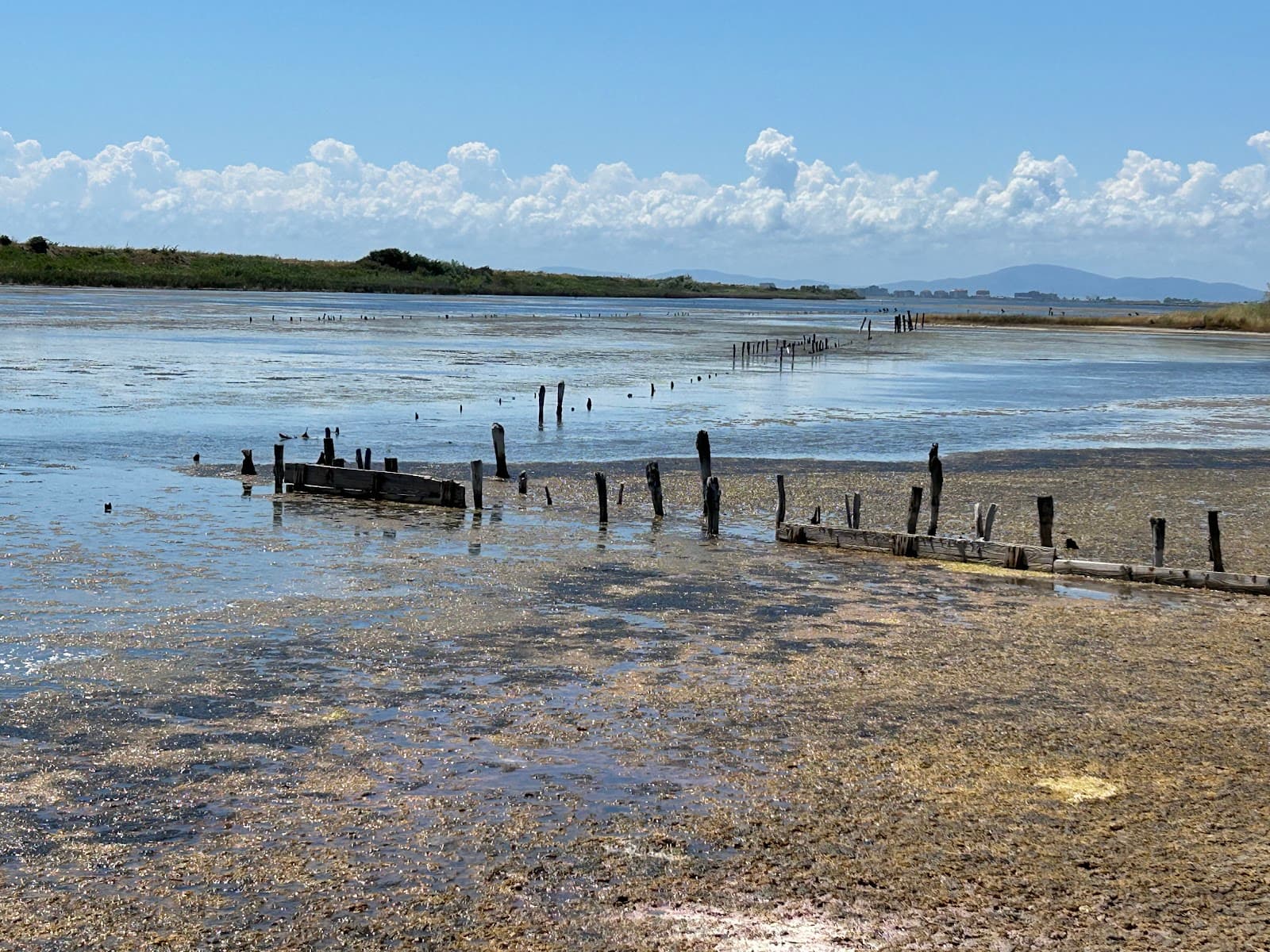 Pomorie Lake and Salt Pans - Image 1