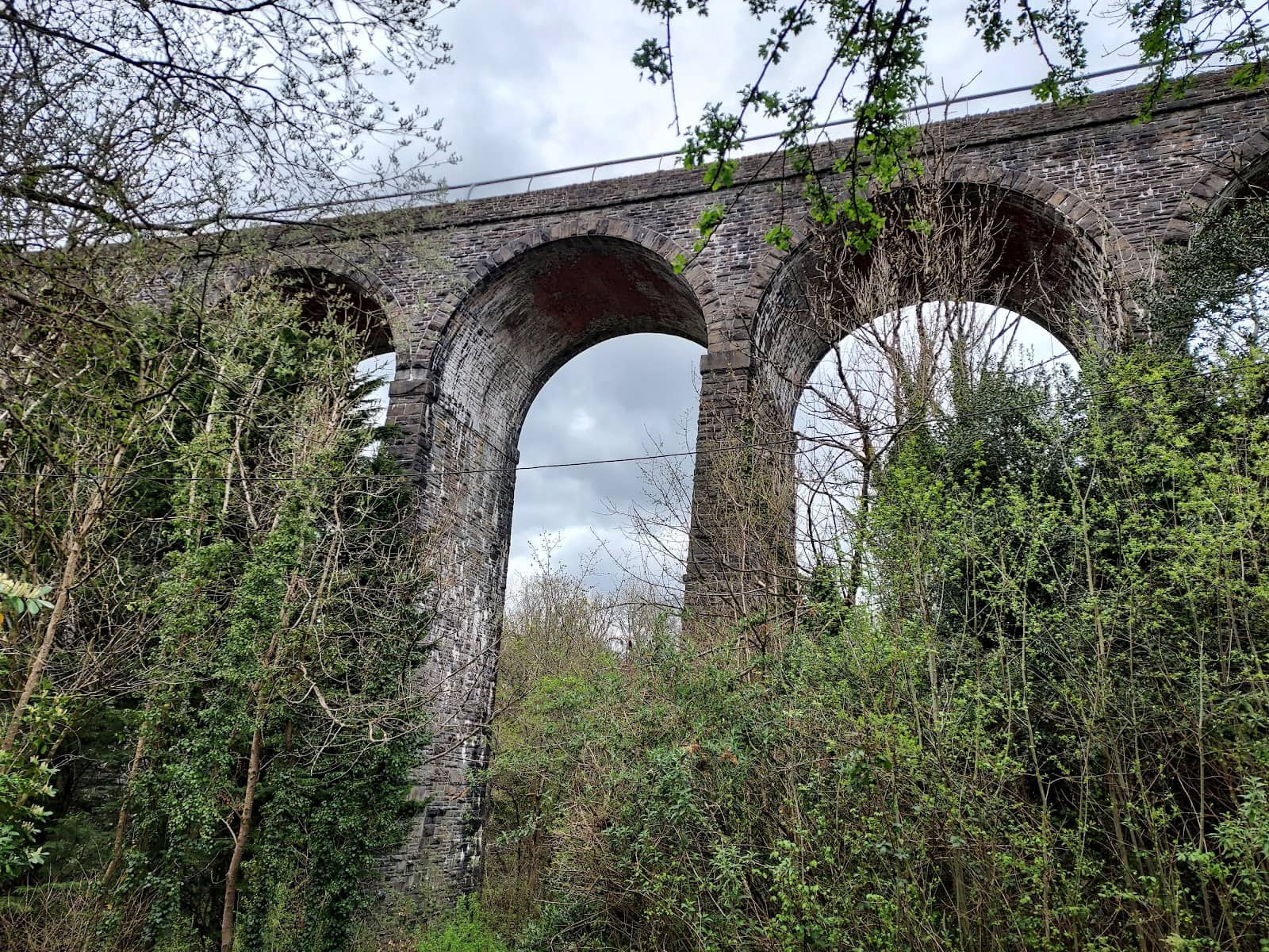 Ground-Level Perspective