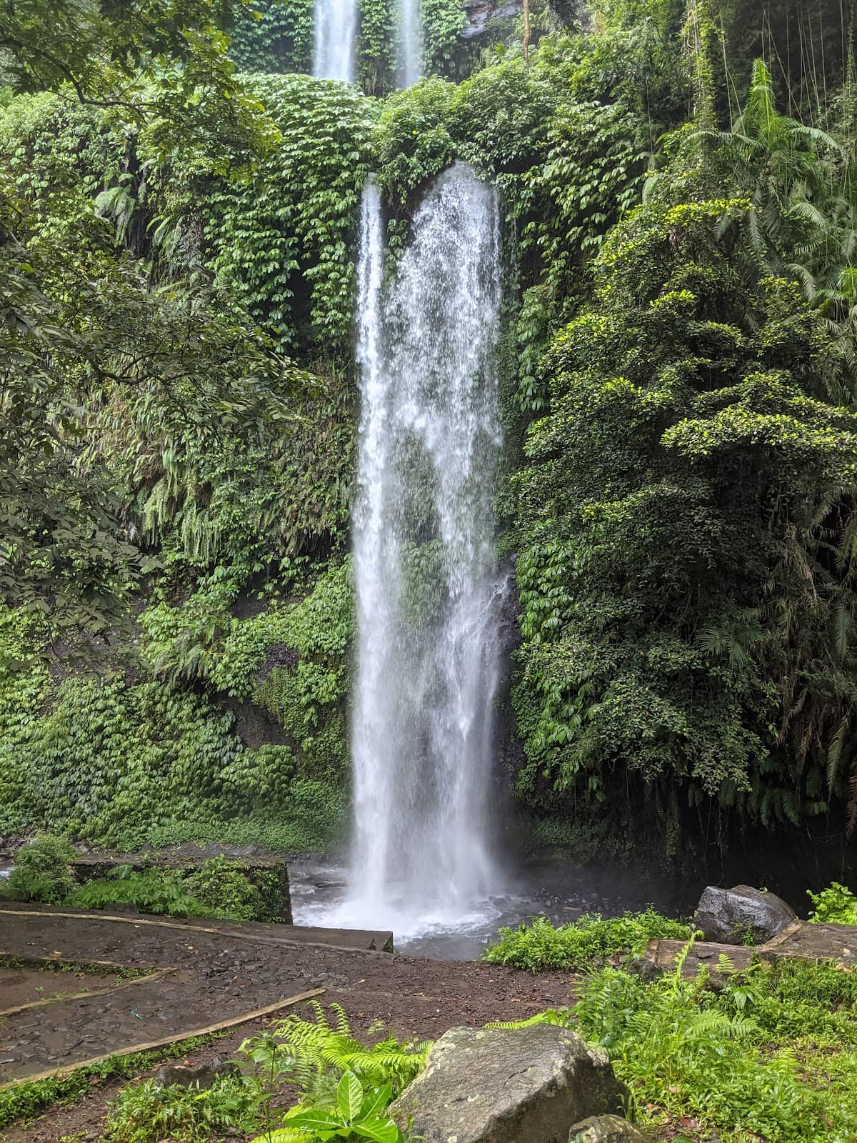 Vertical photo