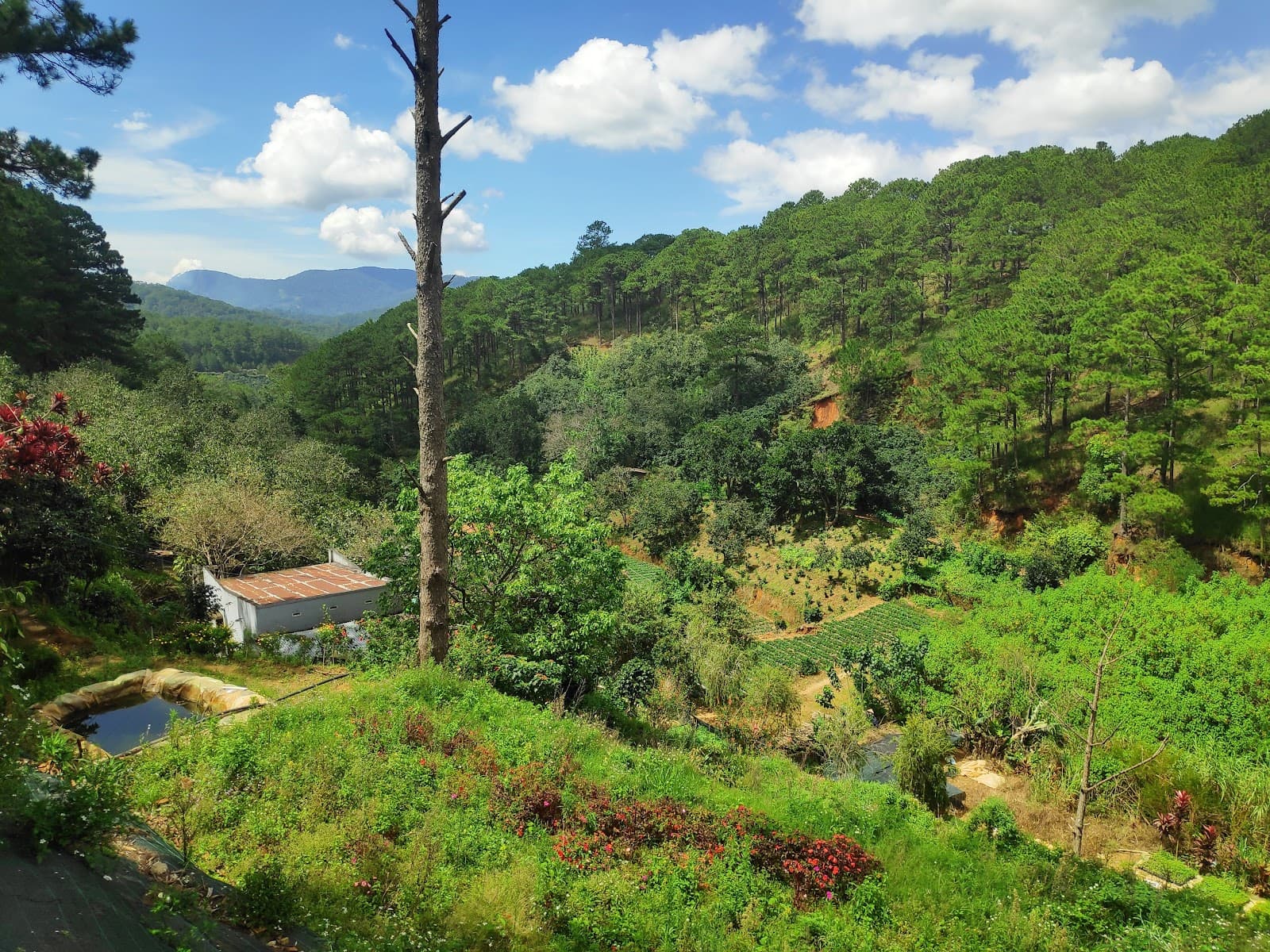 Mimosa Pass - Image 1