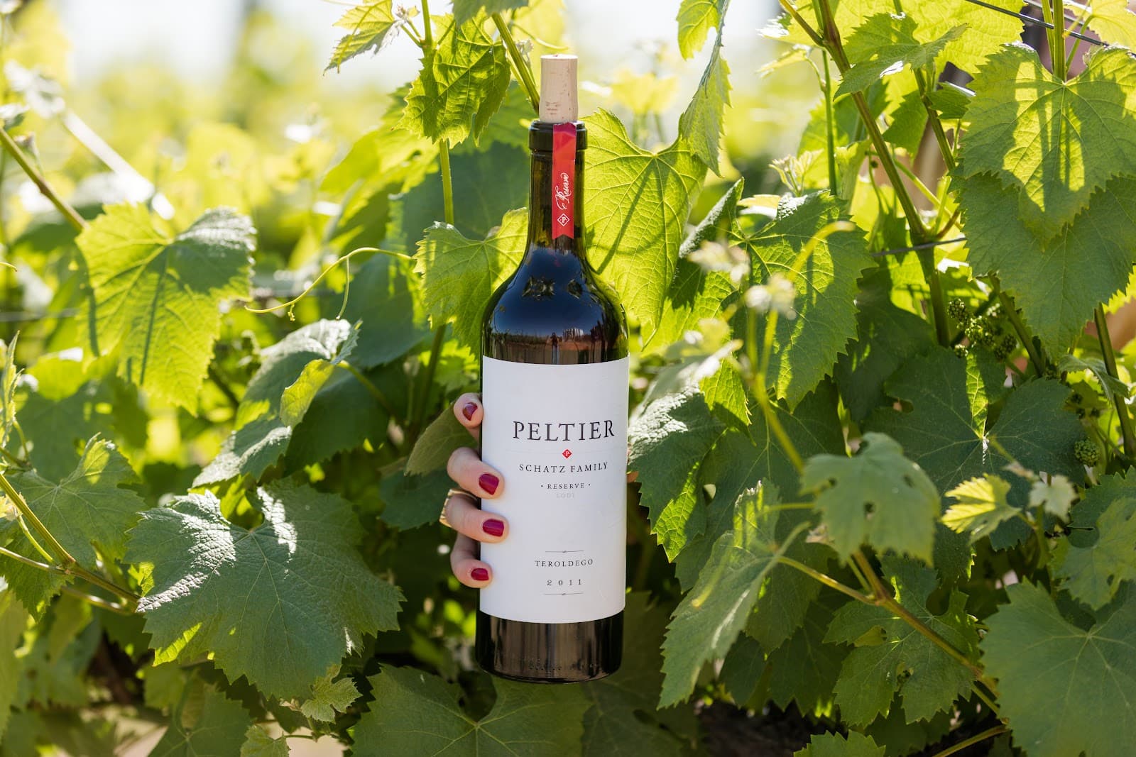 Peltier Winery - Image 1